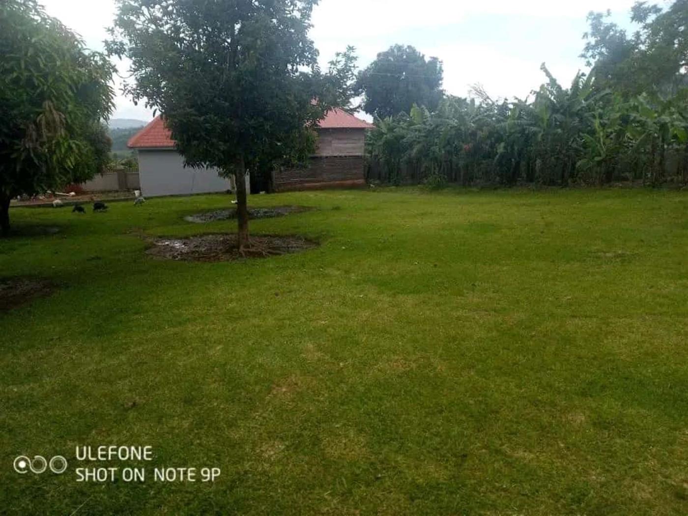 4 bedroom Bungalow for sale in Buyala Mityana Uganda