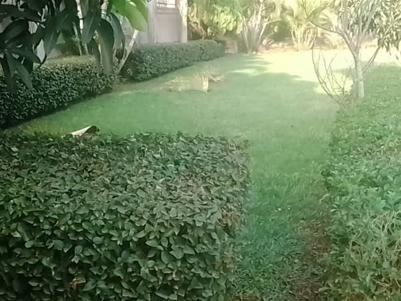 5 bedroom Bungalow for sale in Masulita Wakiso Uganda
