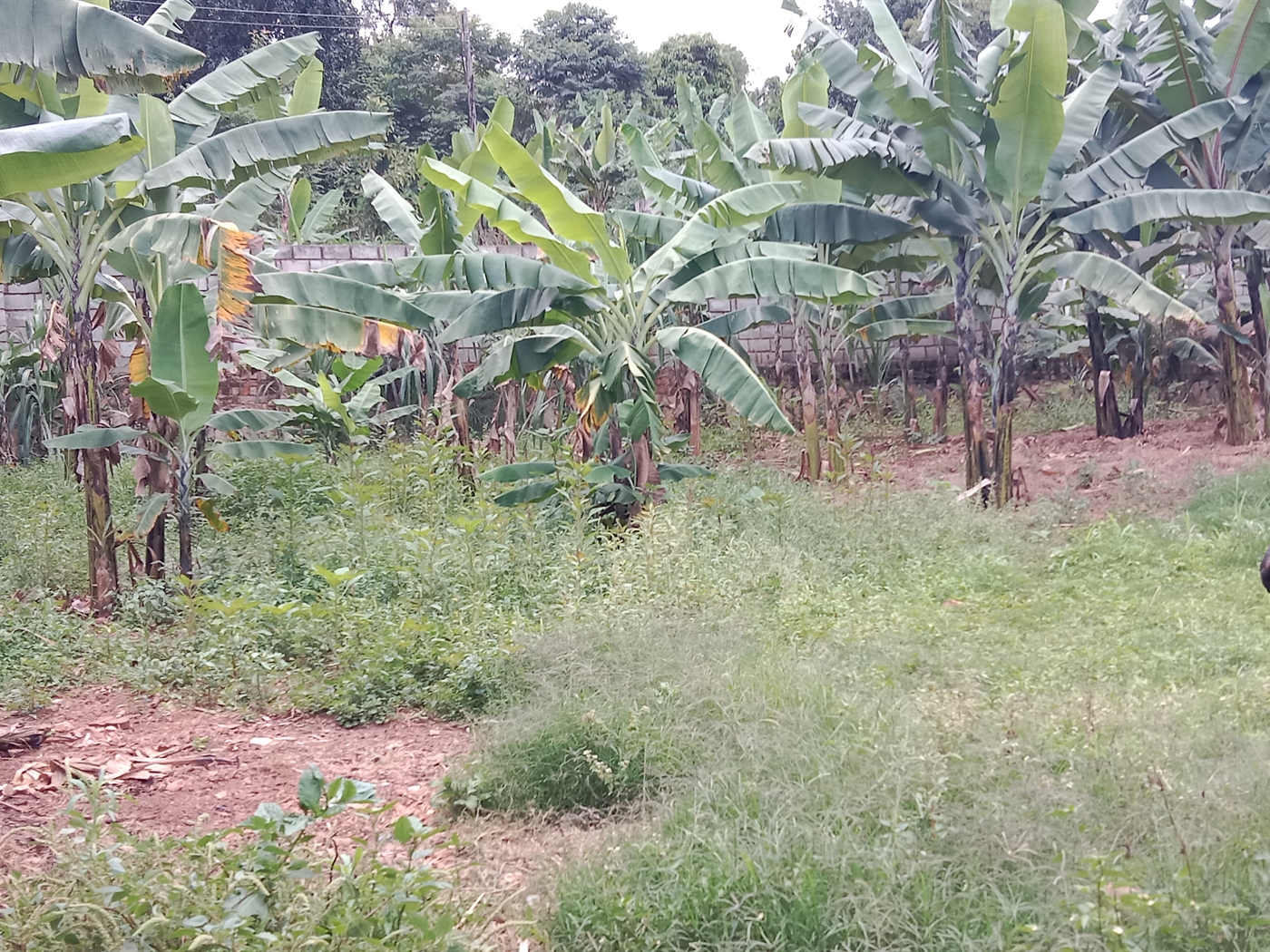 Multipurpose space for sale in Seguku Wakiso Uganda