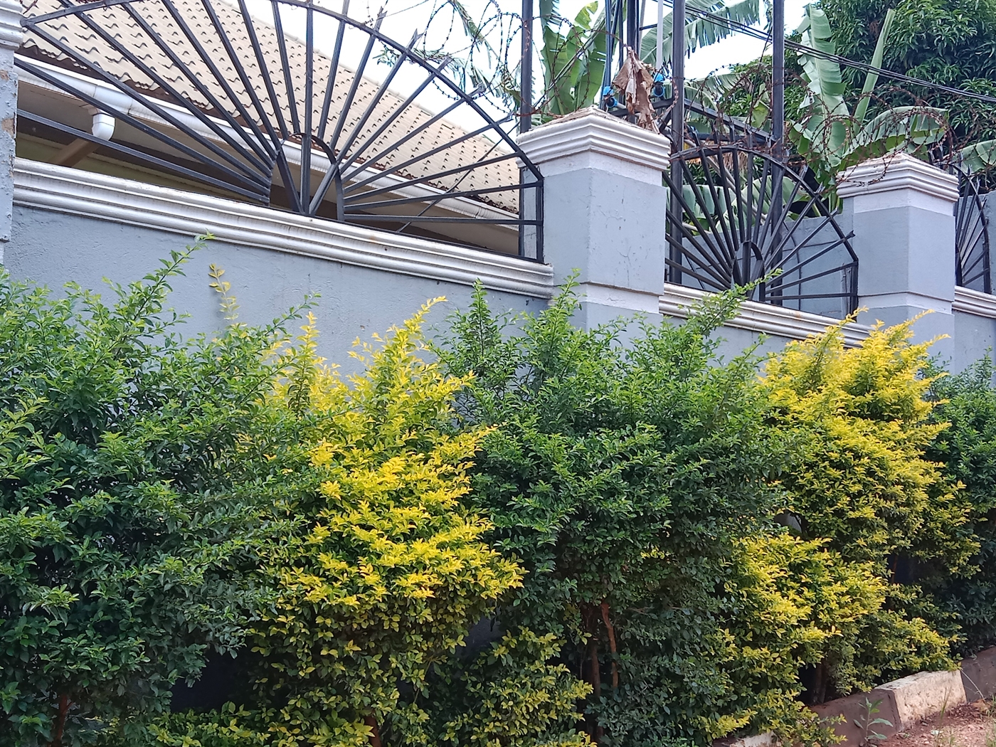 2 bedroom Apartment for sale in Lutembe Wakiso Uganda