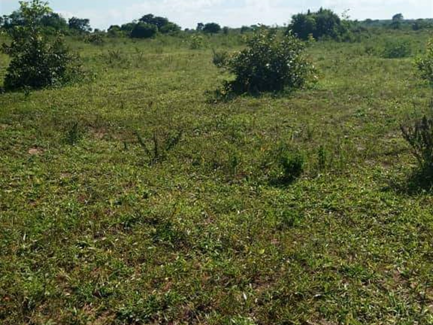 Residential land for sale in Kakooge Wakiso Uganda