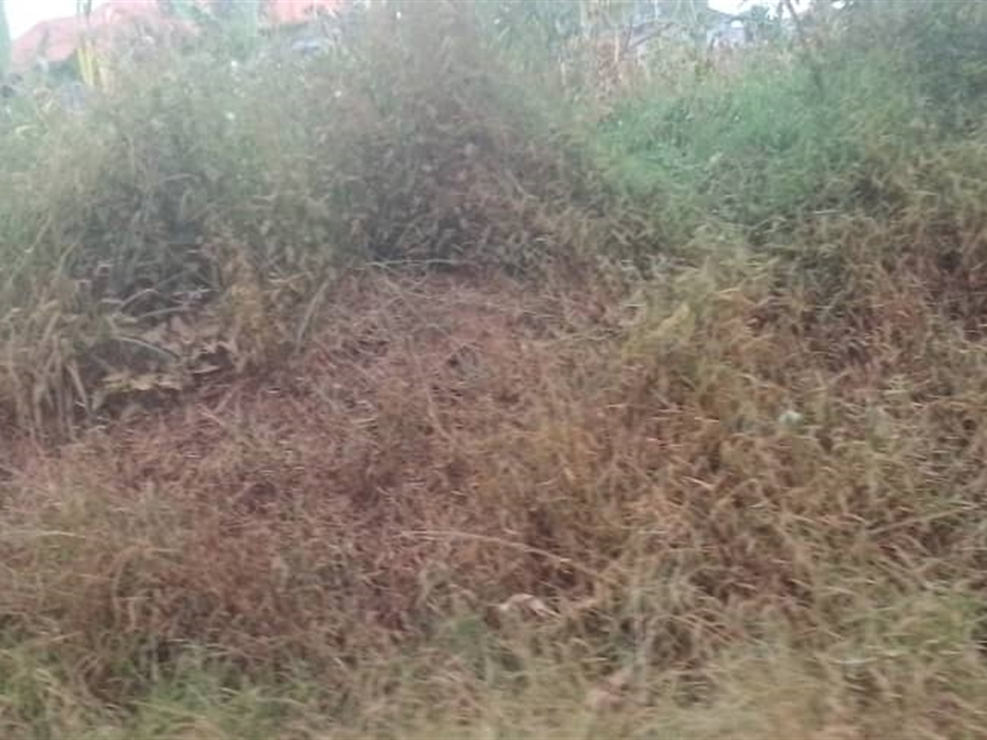 Residential land for sale in Kabunyata Luweero Uganda
