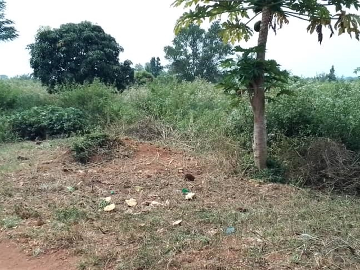 Residential land for sale in Kabunyata Luweero Uganda