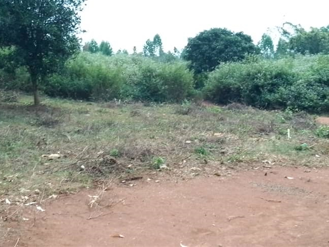 Residential land for sale in Kabunyata Luweero Uganda