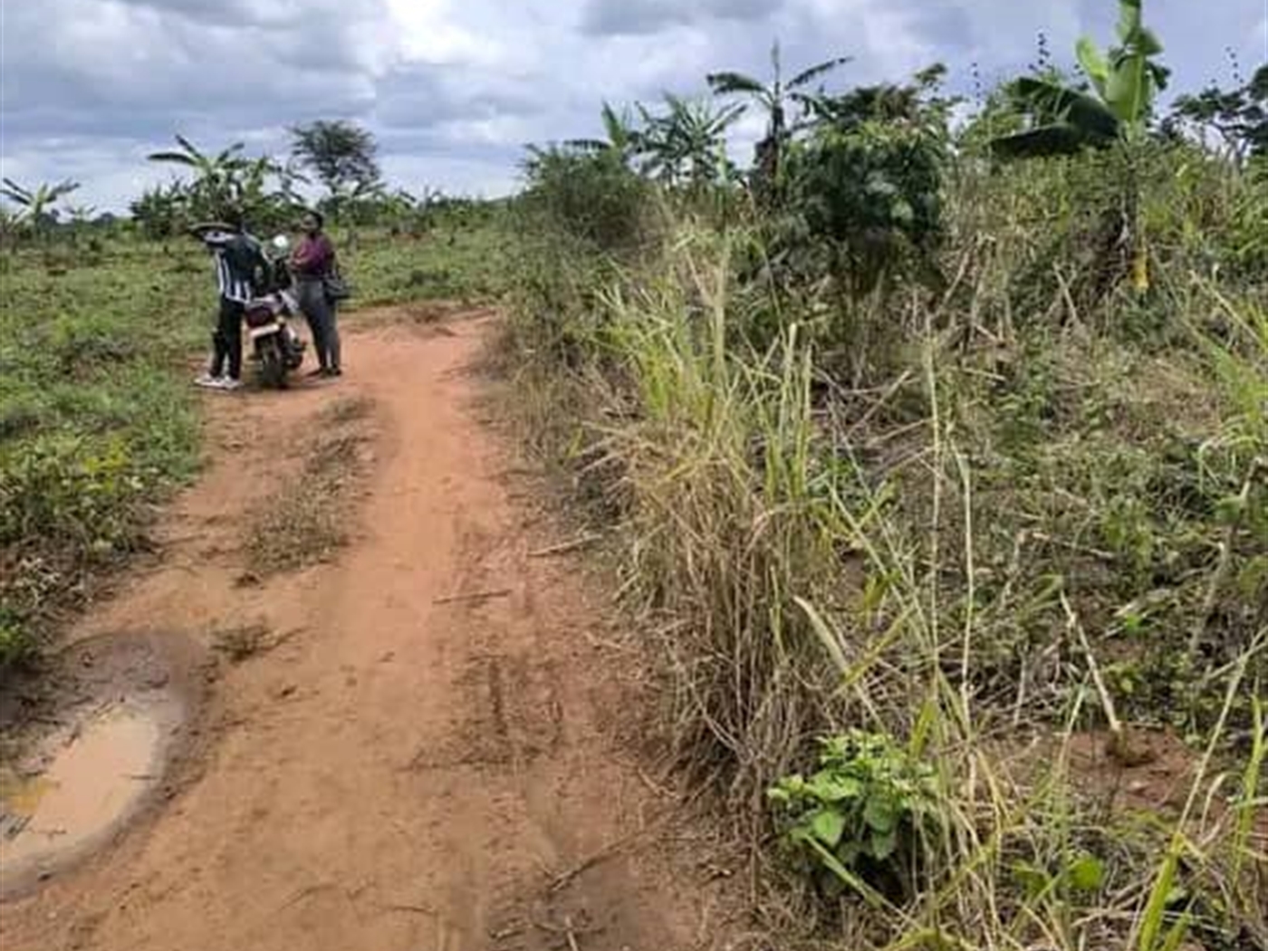 Residential land for sale in Kakoonge Luweero Uganda