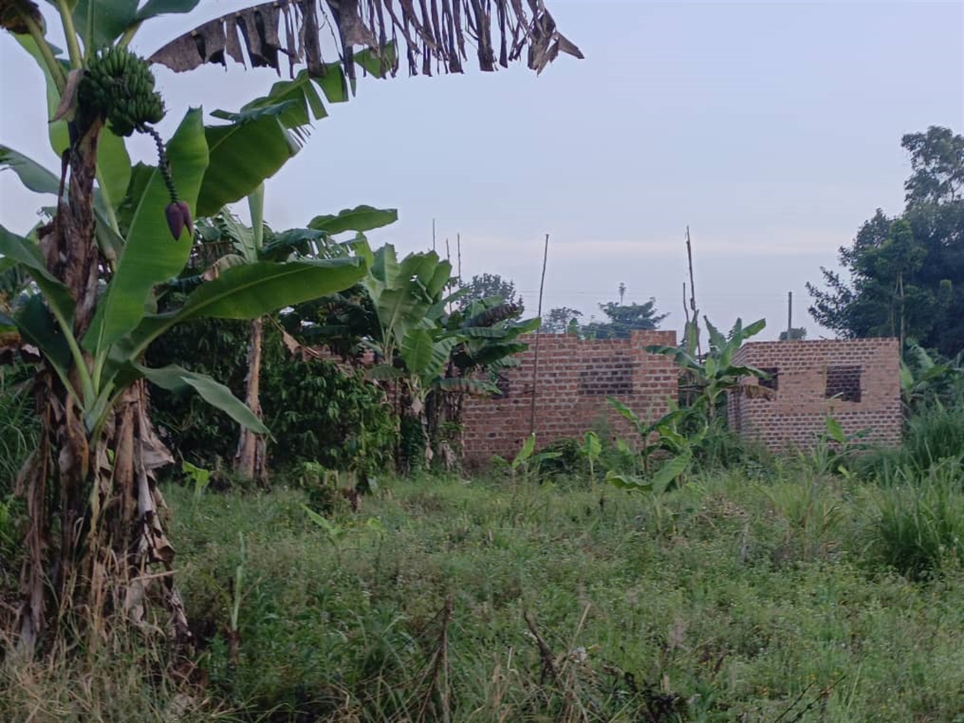 Residential land for sale in Matugga Wakiso Uganda