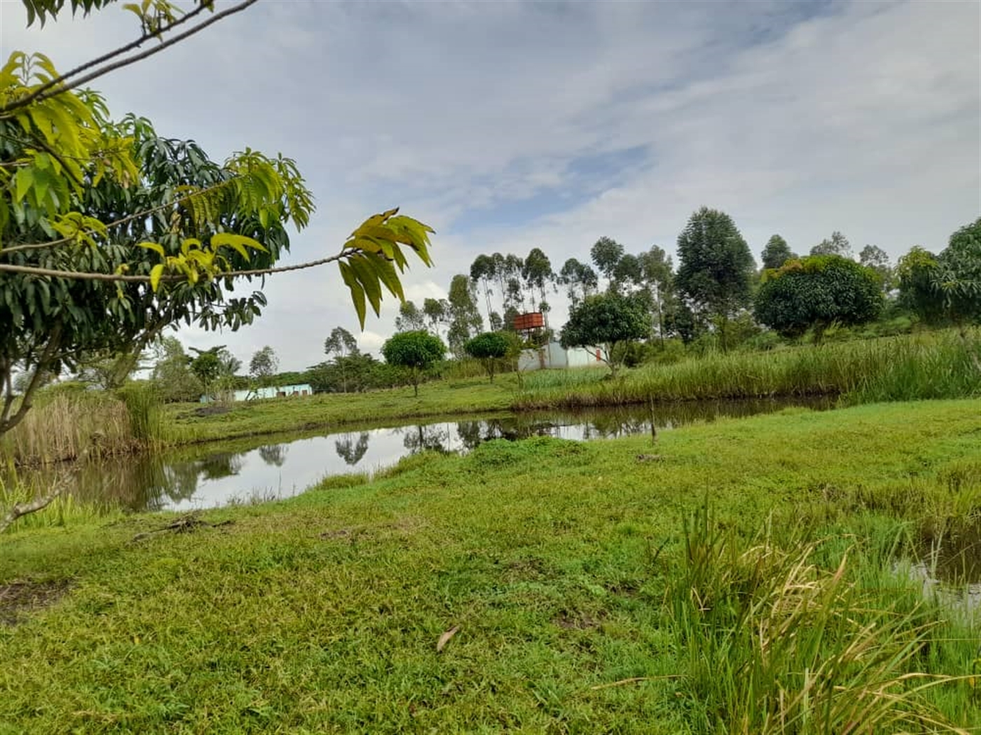 Agricultural land for sale in Kikube Luweero Uganda