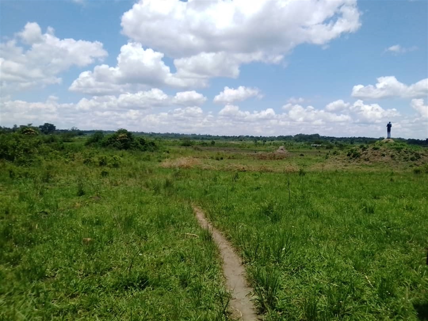 Residential land for sale in Bugerere Kayunga Ugan...
