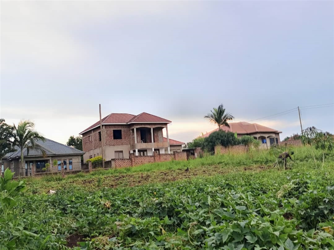 Residential land for sale in Matugga Wakiso Uganda