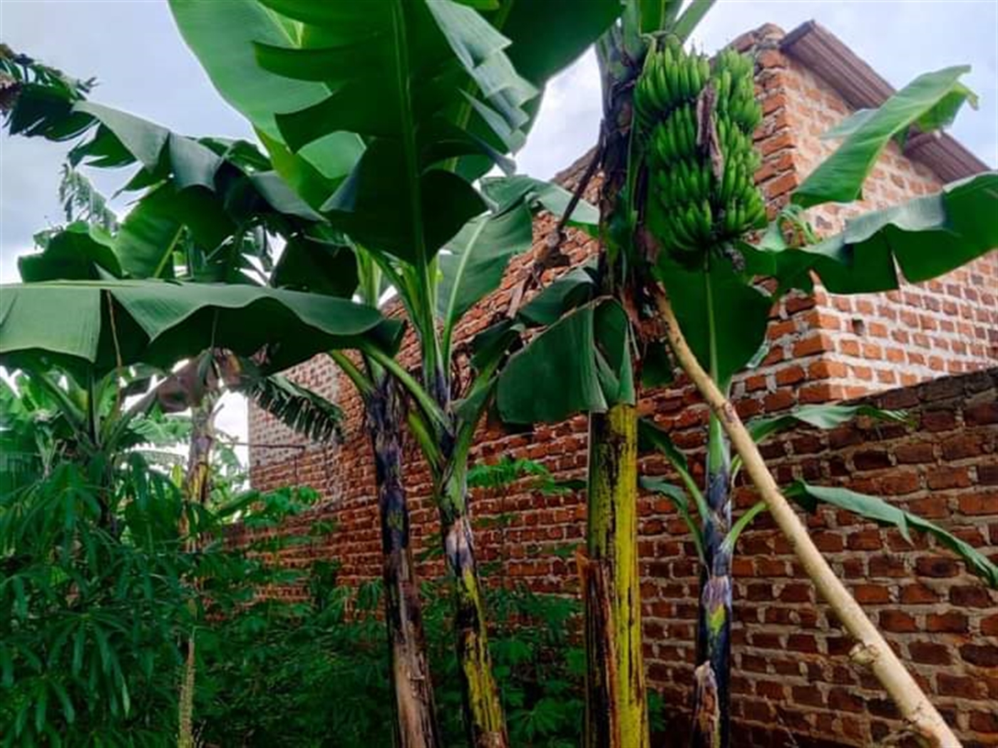 Residential land for sale in Matugga Wakiso Uganda
