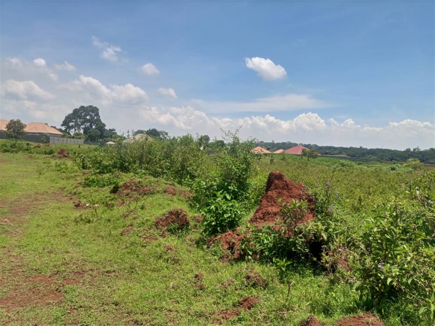 Residential land for sale in Garuga Wakiso Uganda