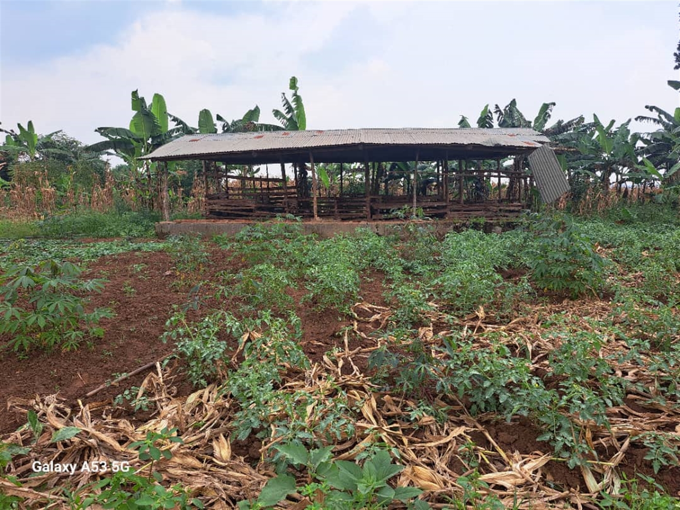 Residential land for sale in Janda Wakiso Uganda