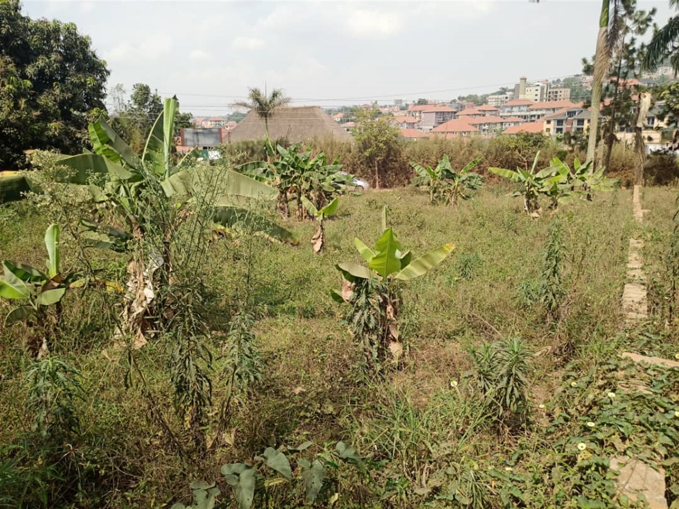 Residential land for sale in Kyanja Wakiso Uganda
