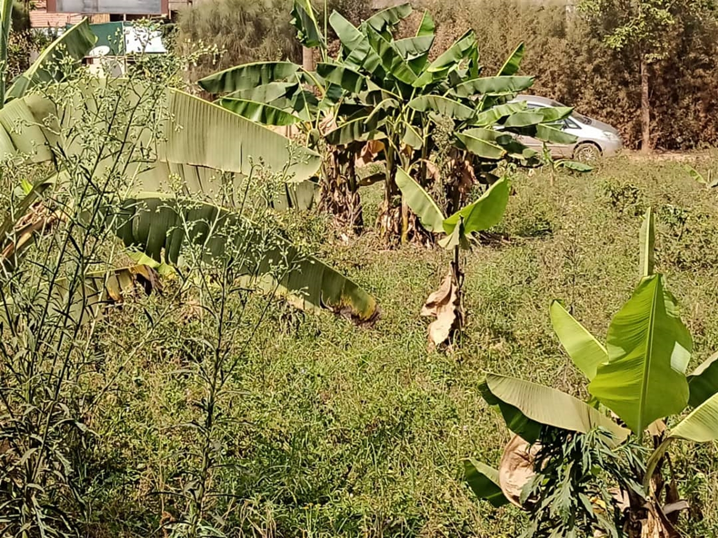 Residential land for sale in Kyanja Wakiso Uganda
