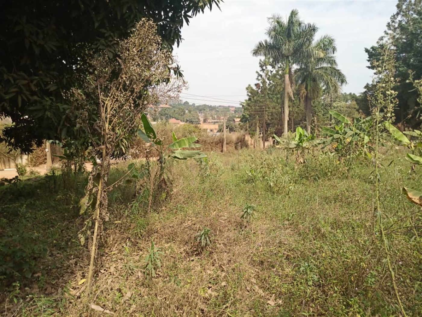 Residential land for sale in Kyanja Wakiso Uganda