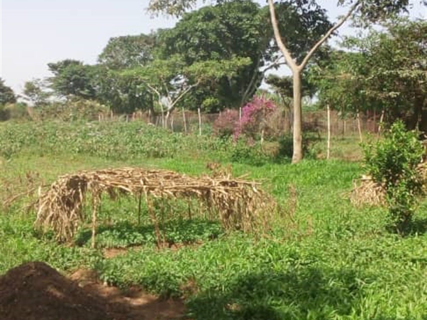 Recreational land for sale in Bwelenga Wakiso Uganda