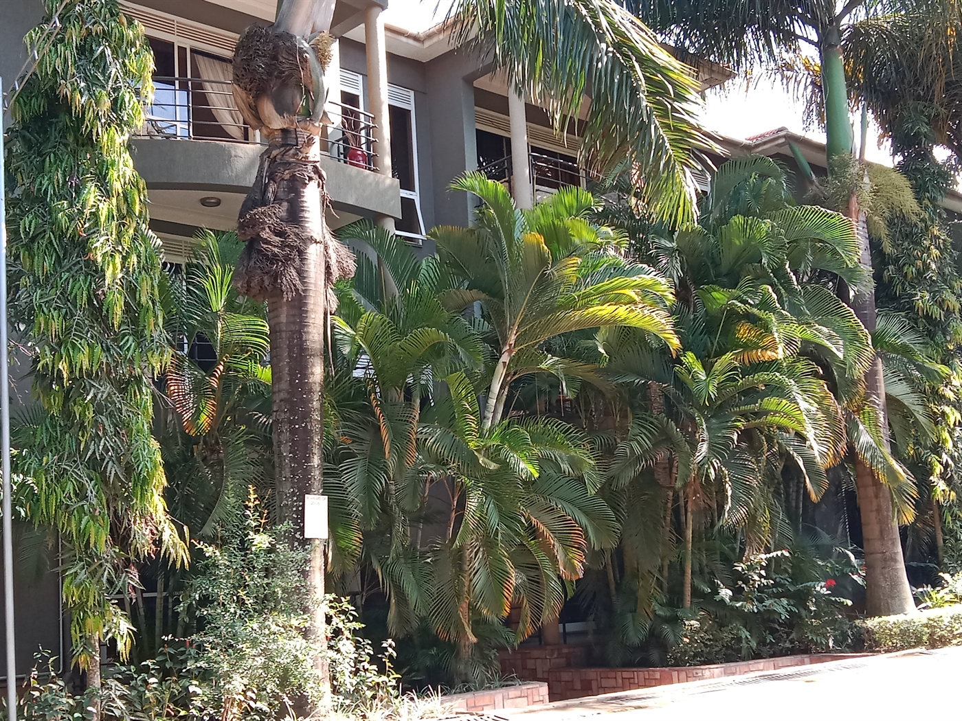3-bedroom Apartment block for rent in Munyonyo Kam...