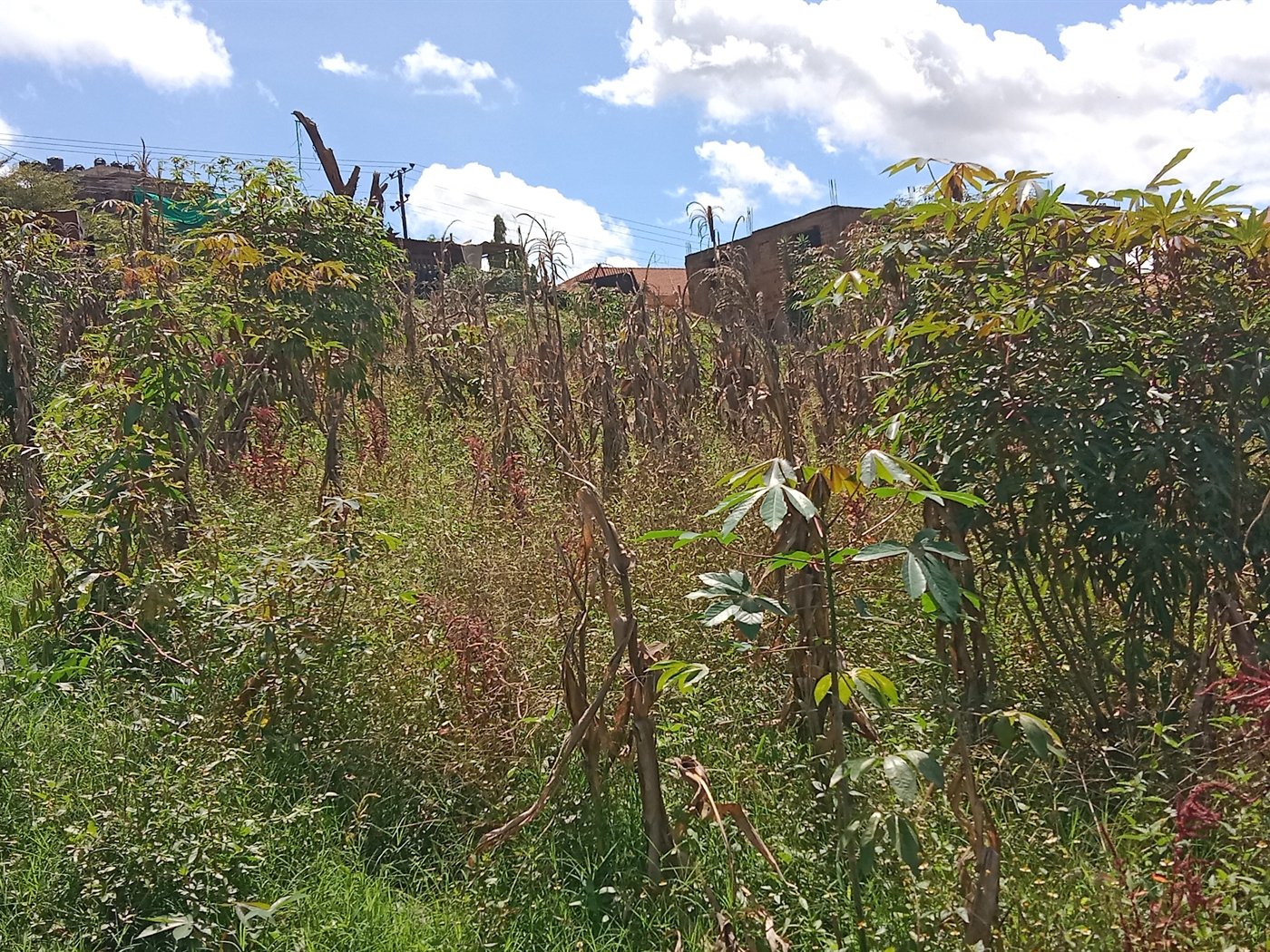 1 bedroom Unknown for sale in Kisaasi Wakiso Uganda