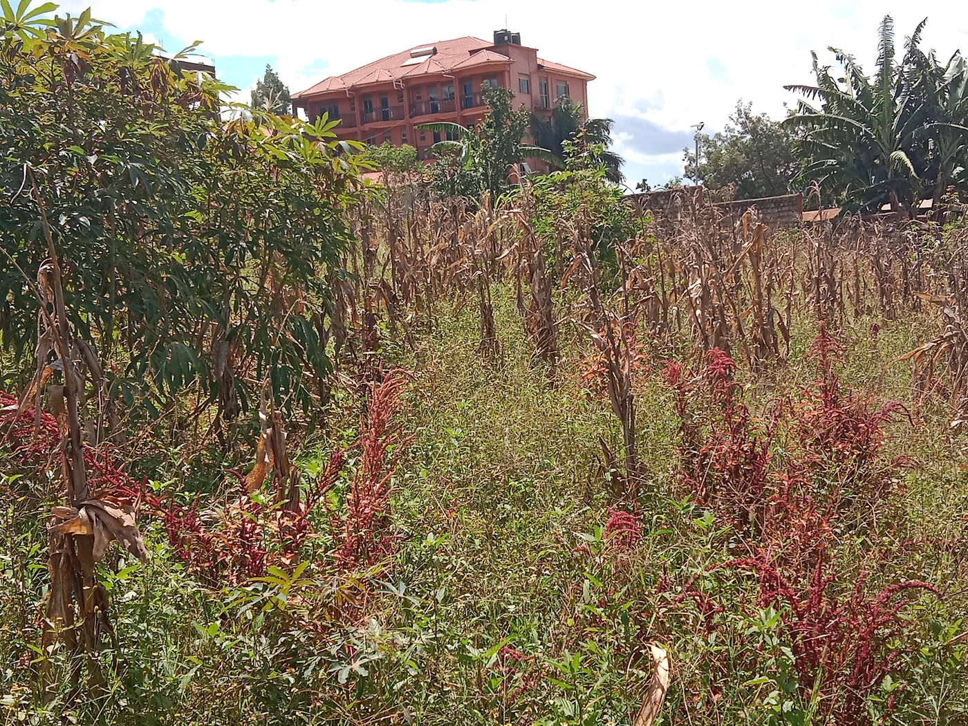1 bedroom Unknown for sale in Kisaasi Wakiso Uganda