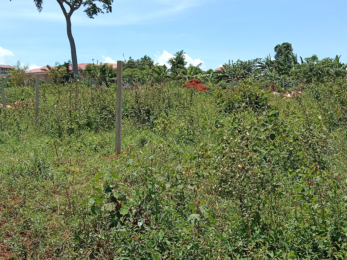 1 bedroom Unknown for sale in Ssekiwunga Wakiso Uganda