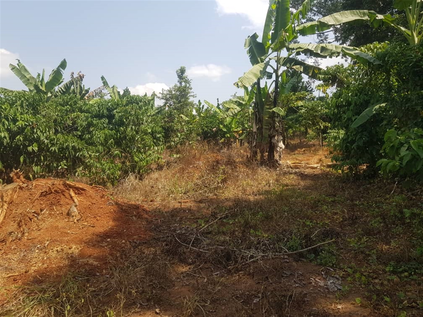 Residential land for sale in Bombo Luweero Uganda