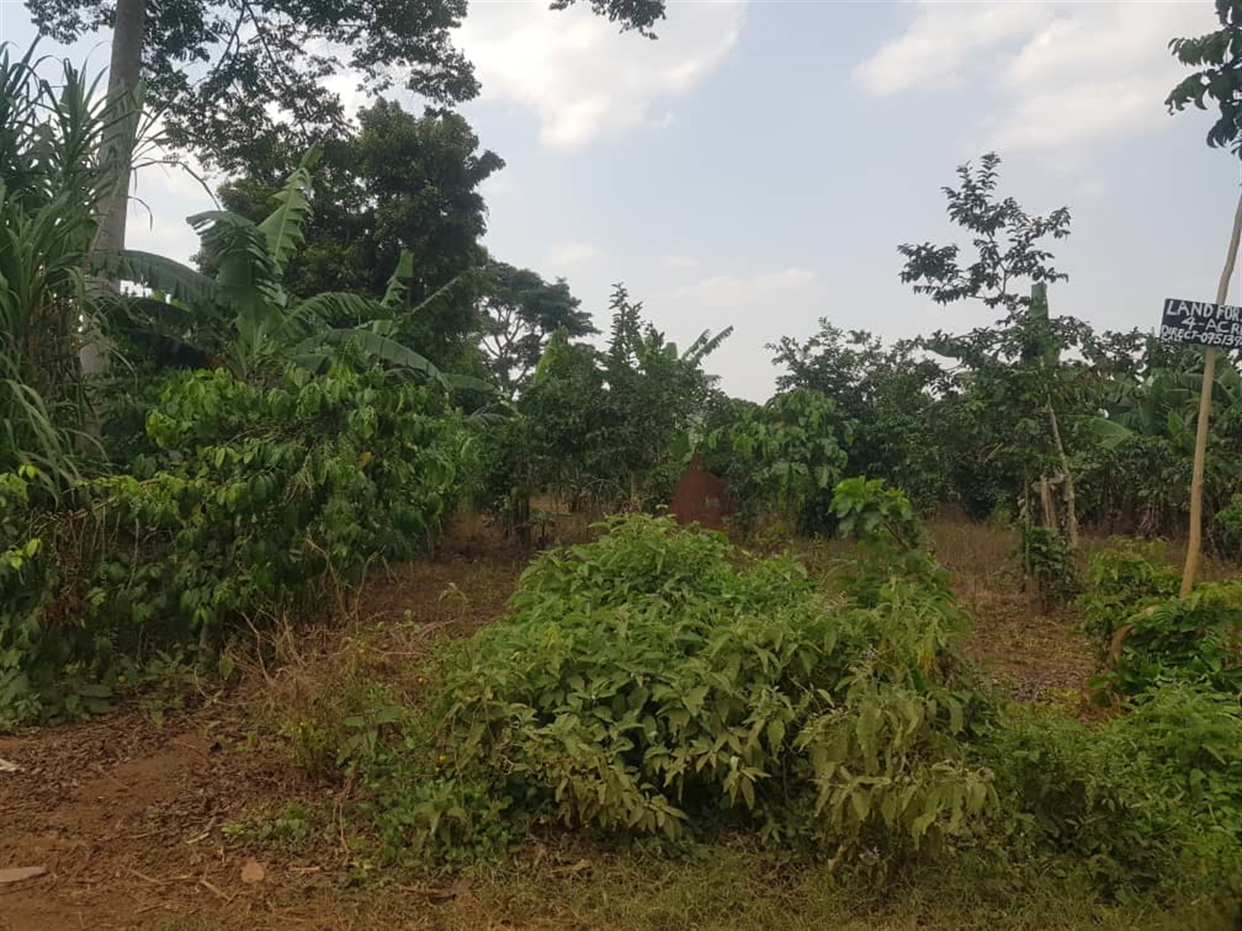 Residential land for sale in Bombo Luweero Uganda