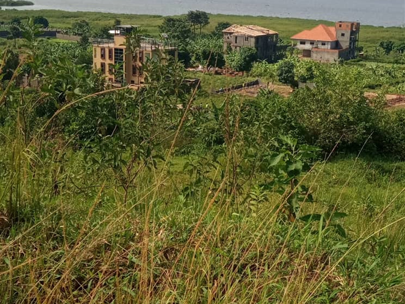 Residential land for sale in Bukasa Wakiso Uganda