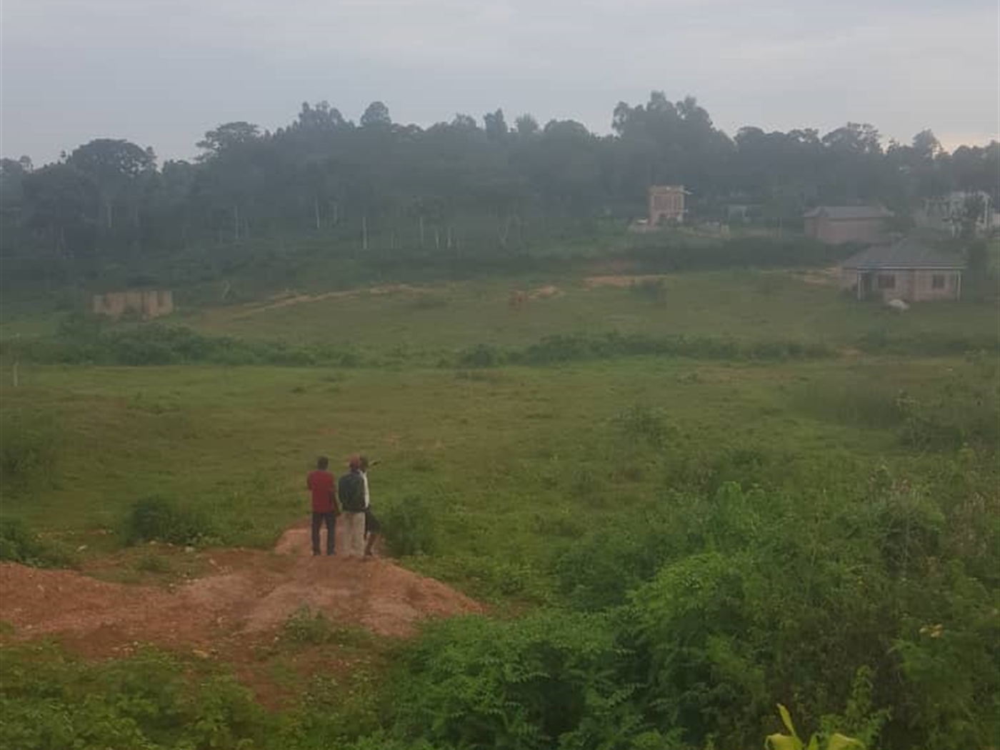 Residential land for sale in Bukeelele Mukono Uganda