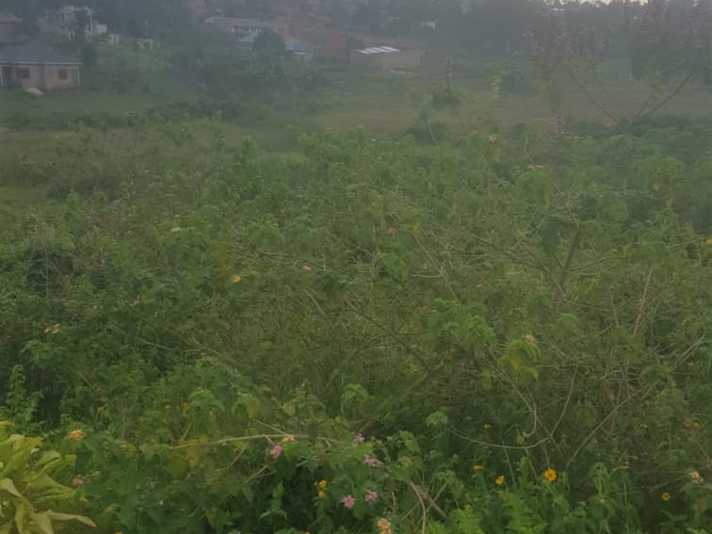 Residential land for sale in Bukeelele Mukono Ugan...