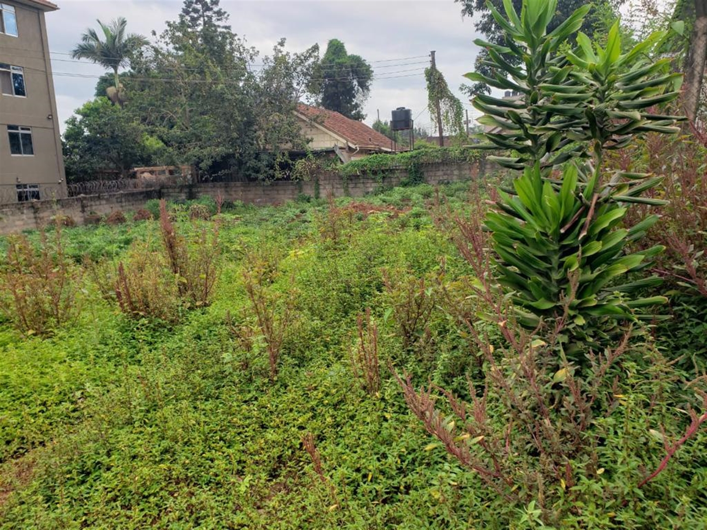 Residential land for sale in Bukoto Wakiso Uganda,