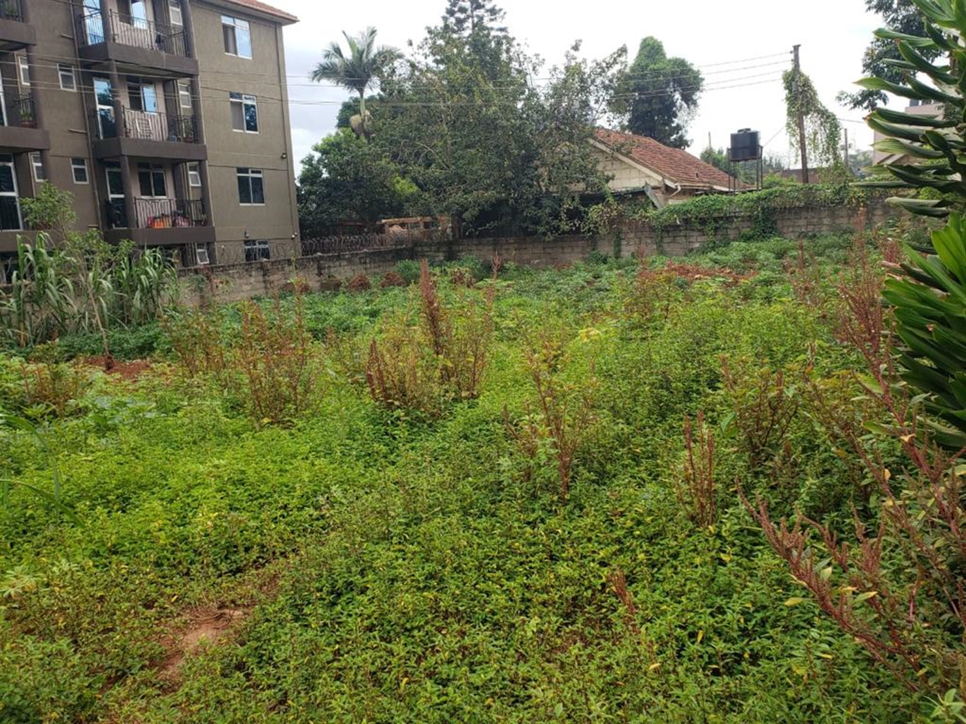 Residential land for sale in Bukoto Wakiso Uganda,