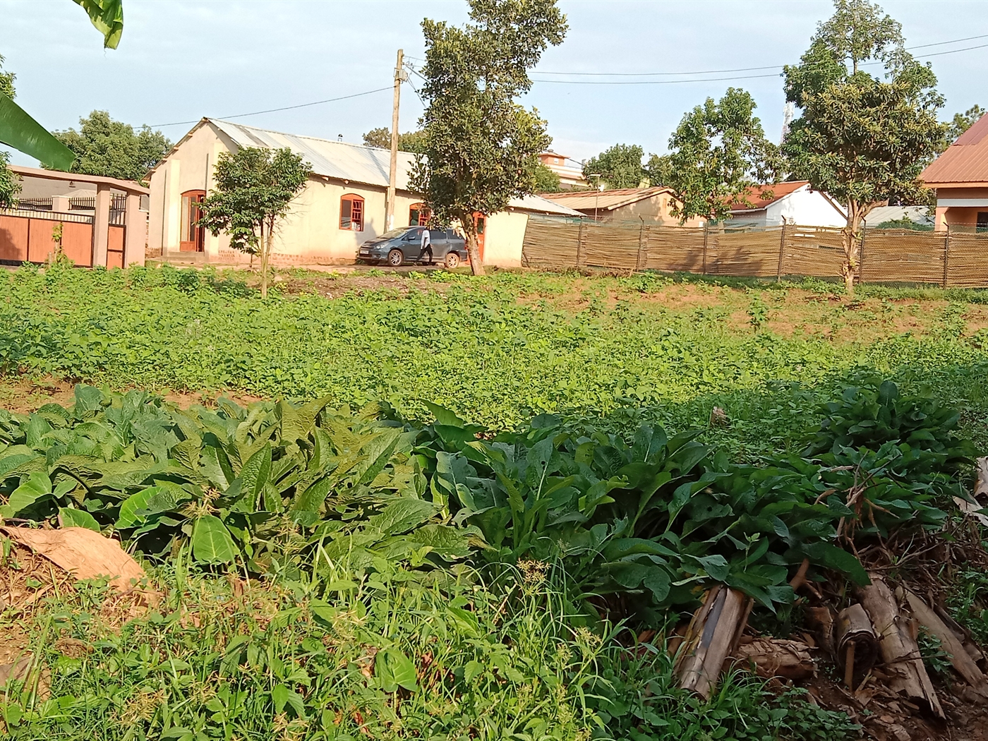 Residential land for sale in Bukoto Kampala Uganda