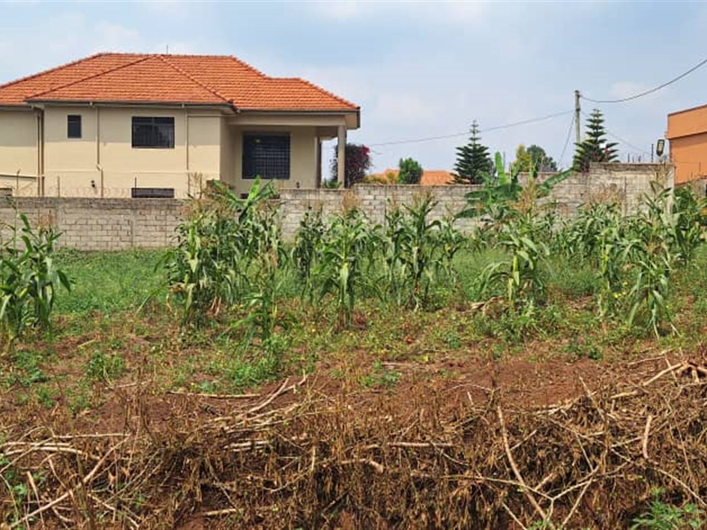 Residential land for sale in Bulindo Wakiso Uganda