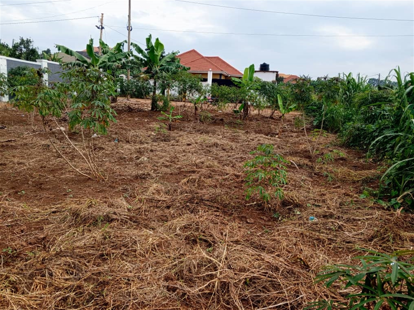 Residential land for sale in Kira Wakiso Uganda