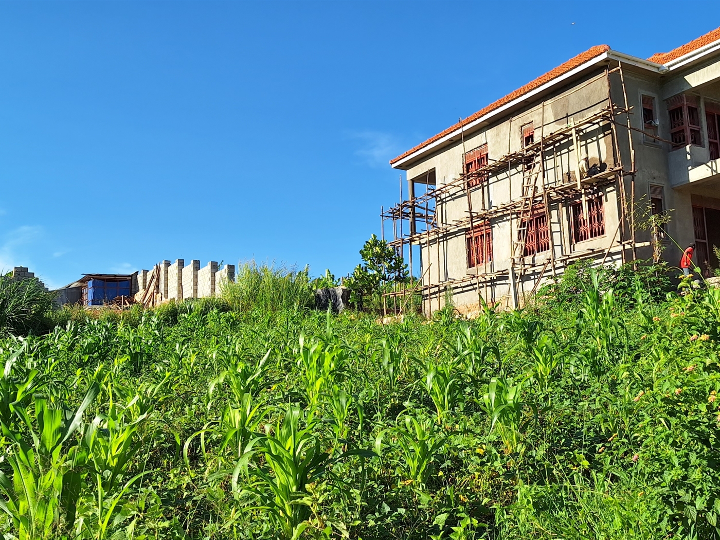 Residential land for sale in Kira Wakiso Uganda