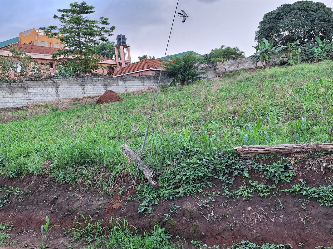 Residential land for sale in Kira Wakiso Uganda