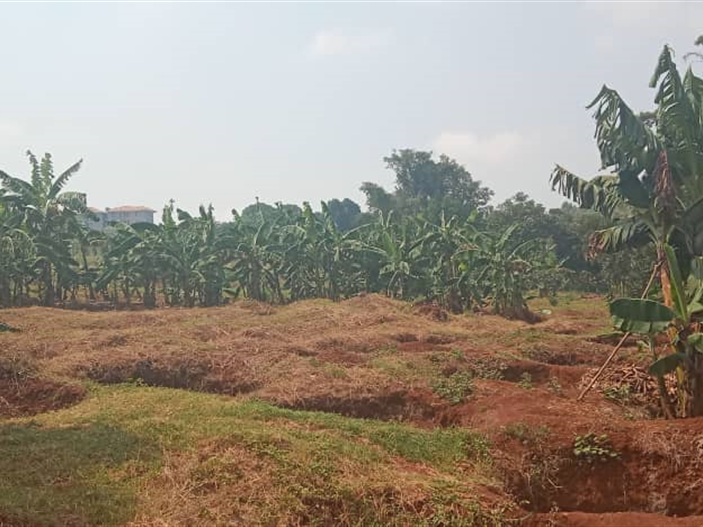 Residential land for sale in Akright Wakiso Uganda