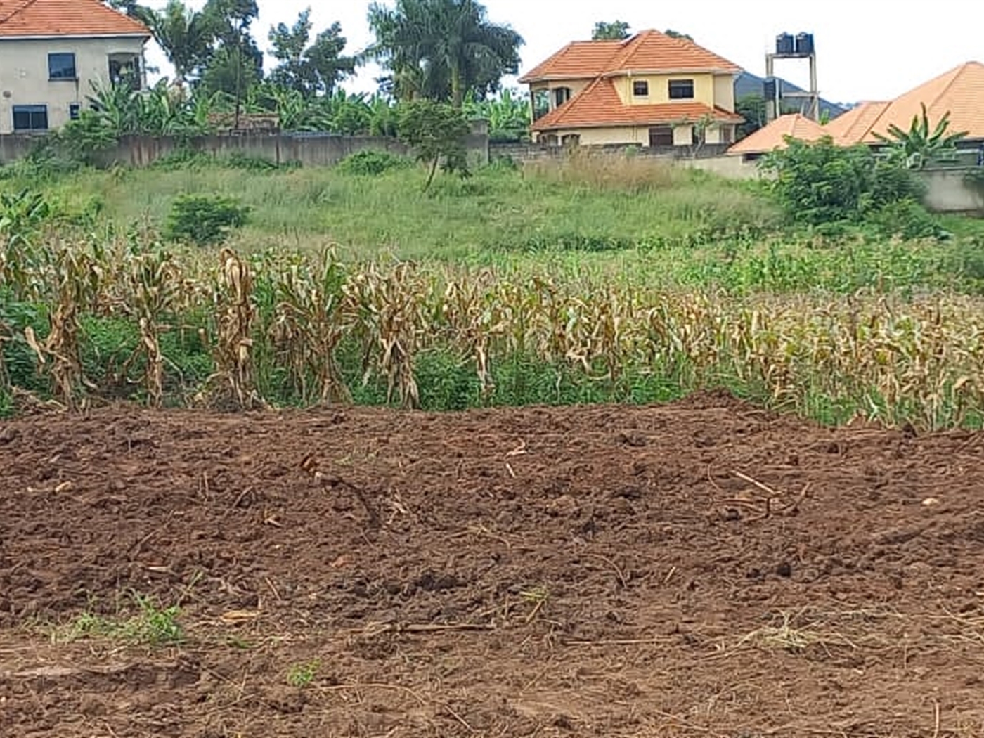 Residential land for sale in Kira Wakiso Uganda