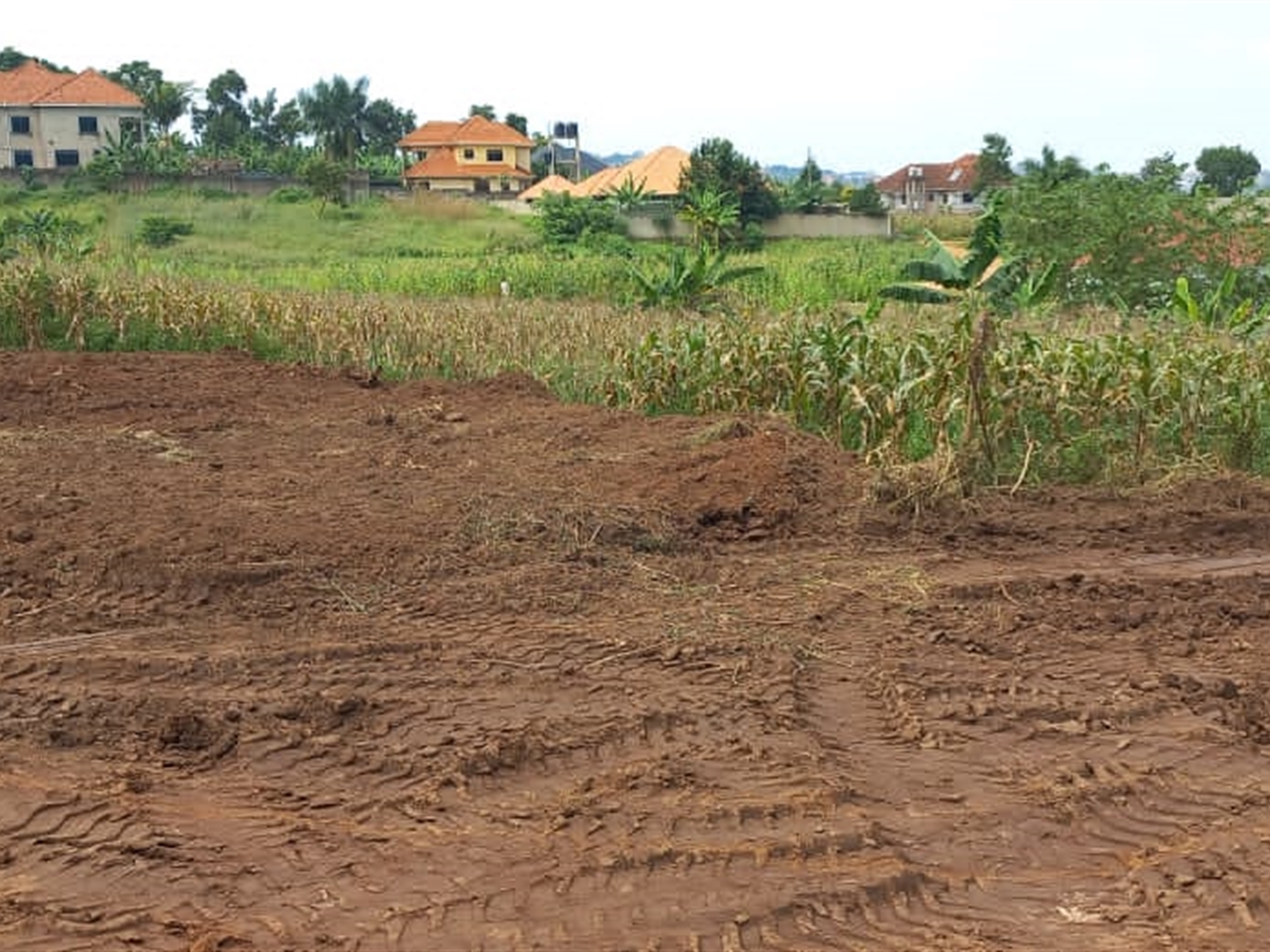 Residential land for sale in Kira Wakiso Uganda