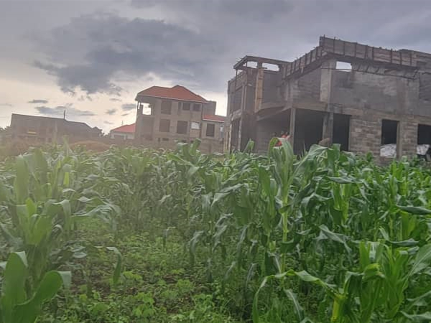 Residential land for sale in Kira Wakiso Uganda