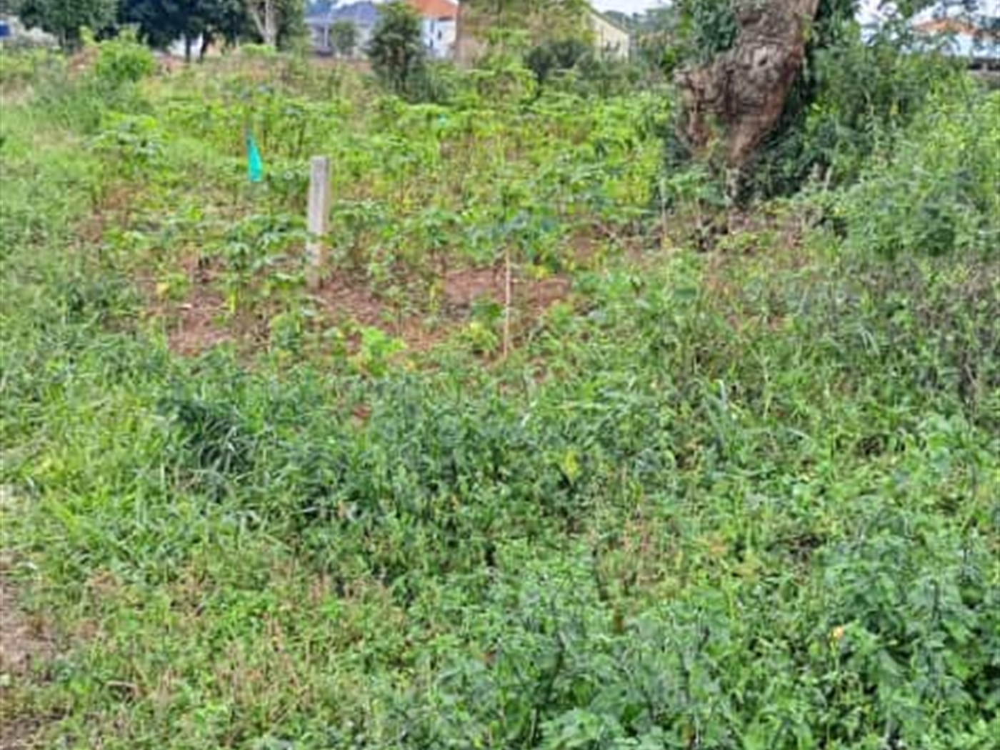 Residential land for sale in Garuga Wakiso Uganda