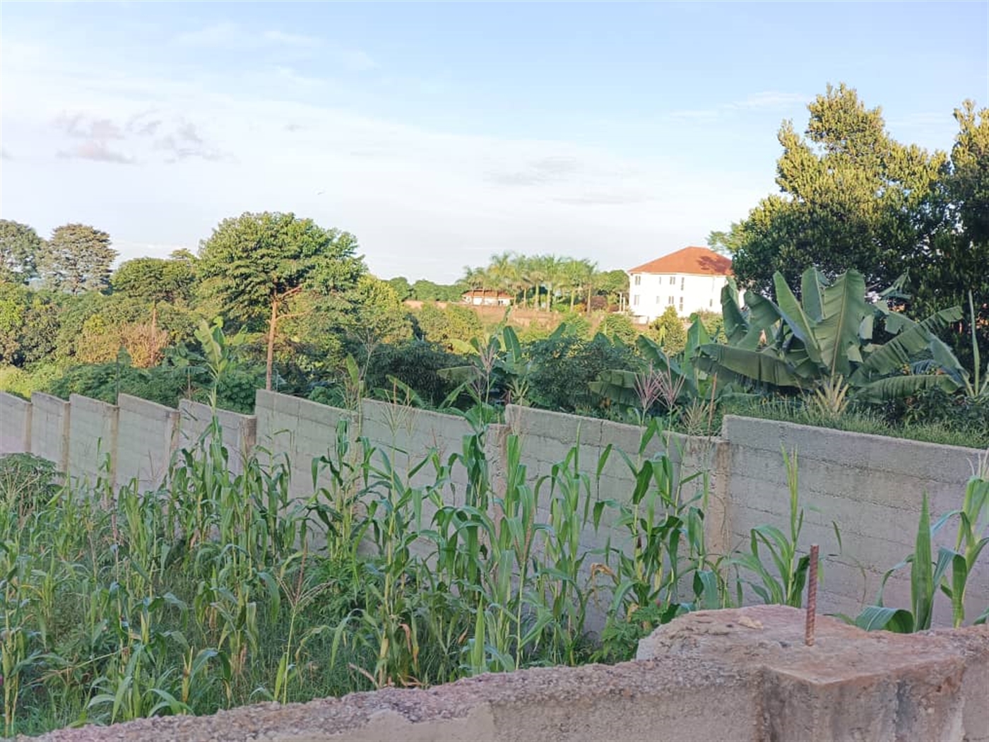 Residential land for sale in Garuga Wakiso Uganda