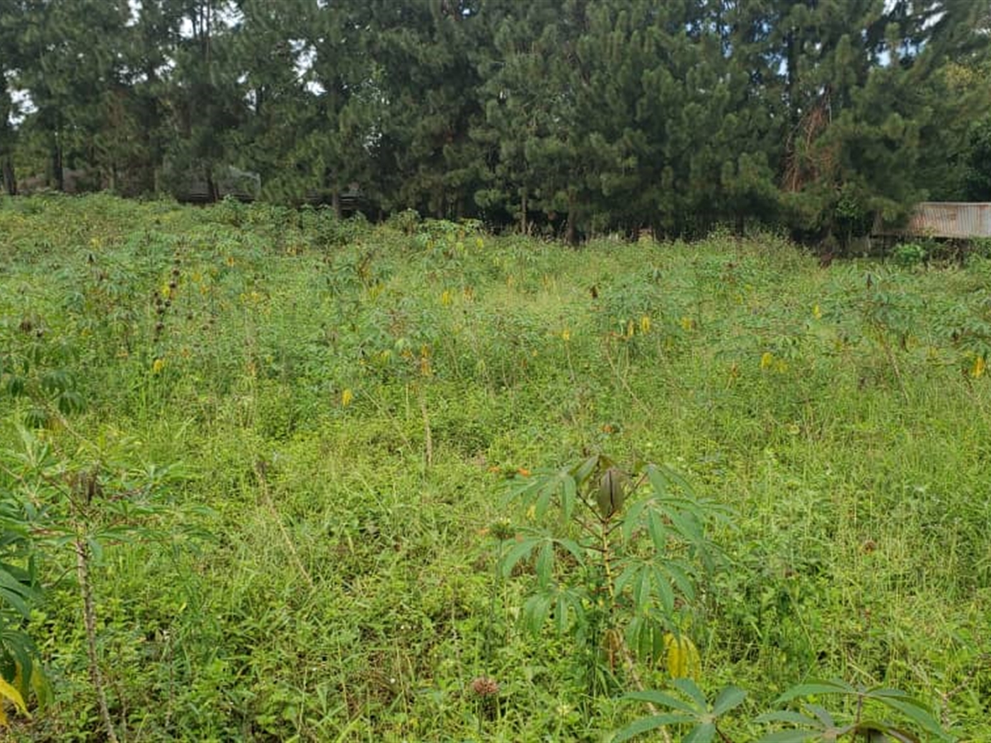 Residential land for sale in Garuga Wakiso Uganda