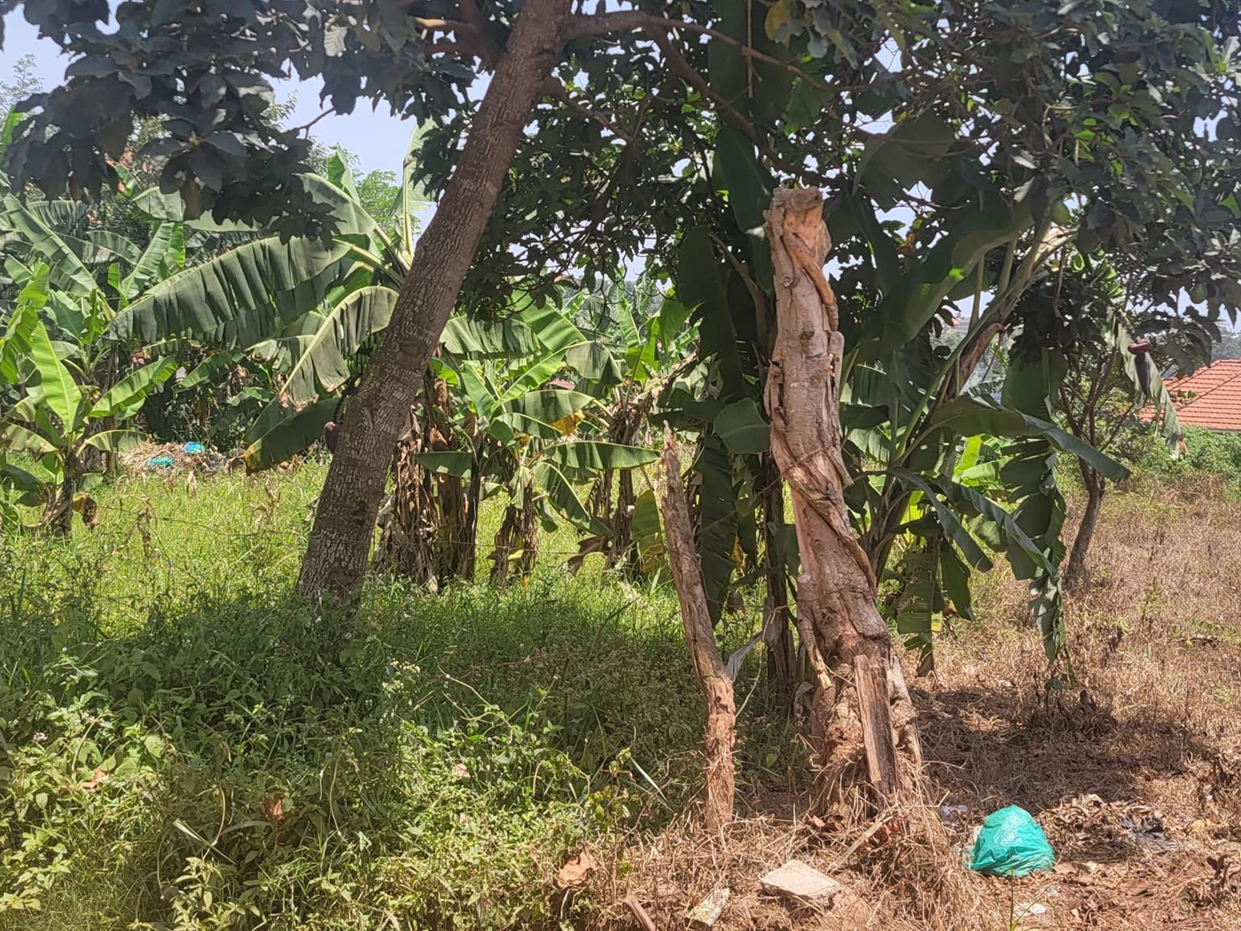 Residential land for sale in Kira Wakiso Uganda