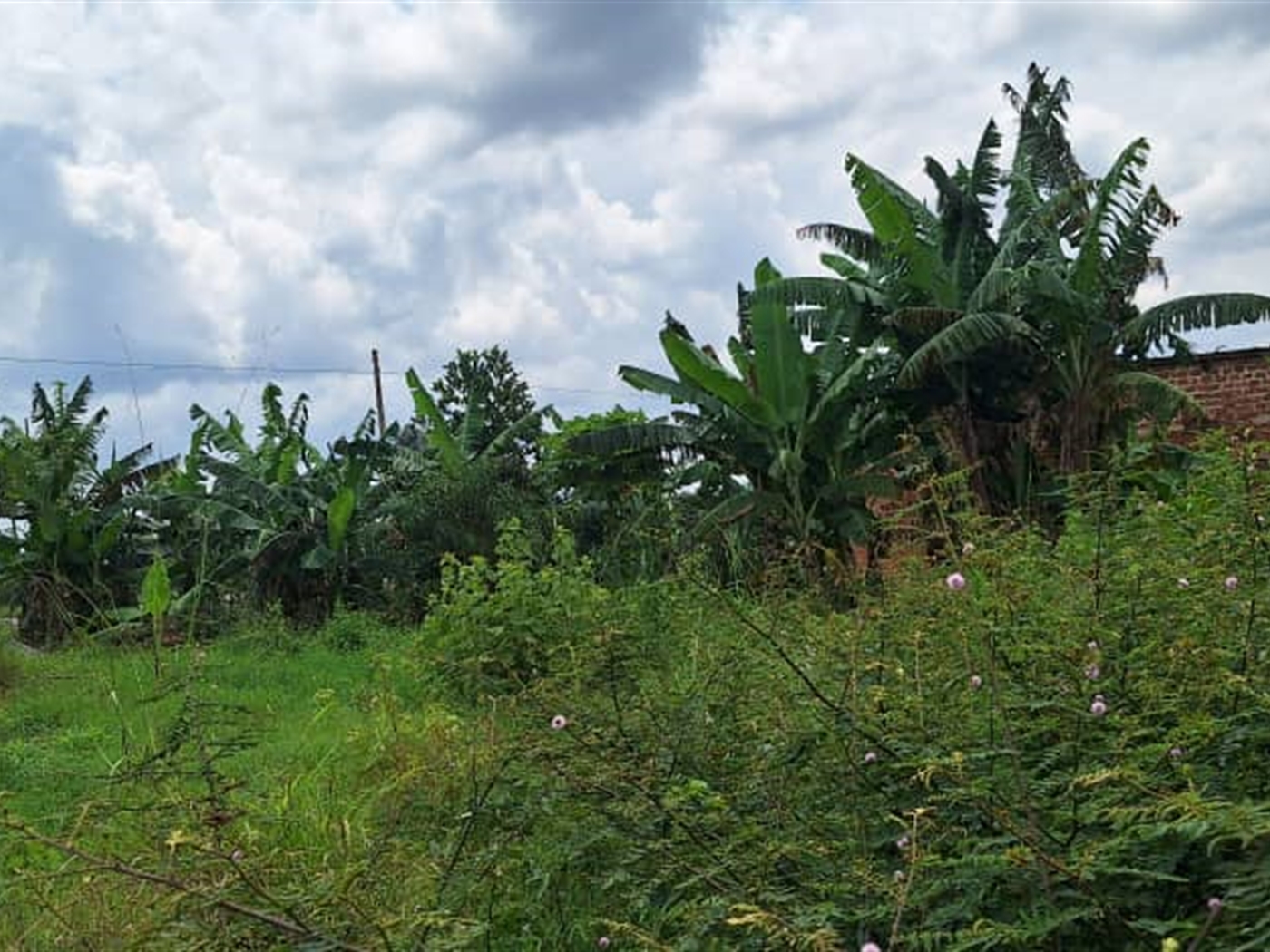 Residential land for sale in Kira Wakiso Uganda