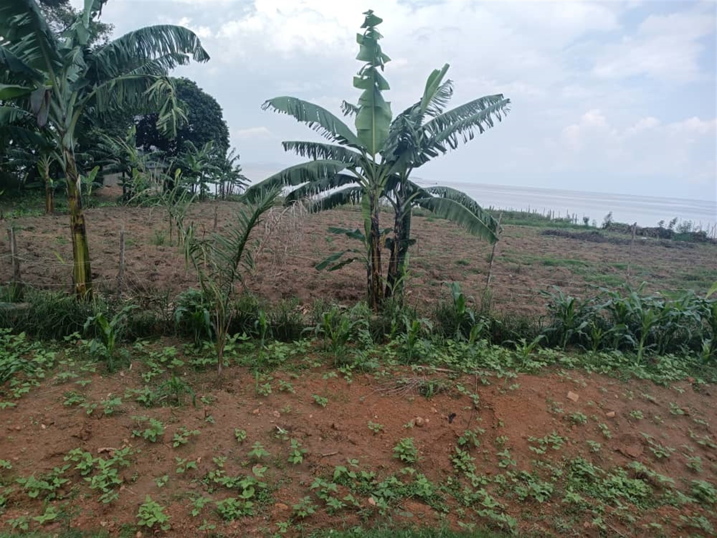Residential land for sale in Garuga Wakiso Uganda