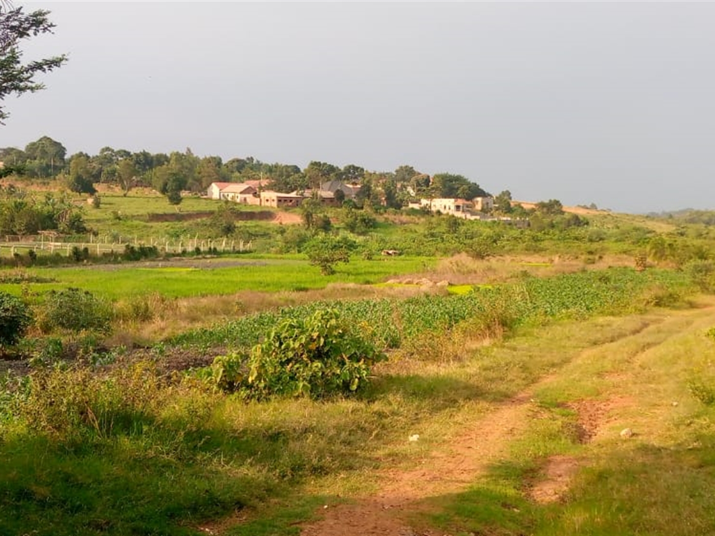 Residential land for sale in Kira Wakiso Uganda