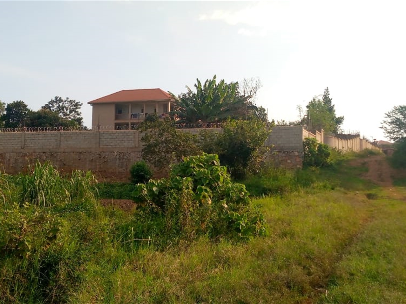 Residential land for sale in Kira Wakiso Uganda