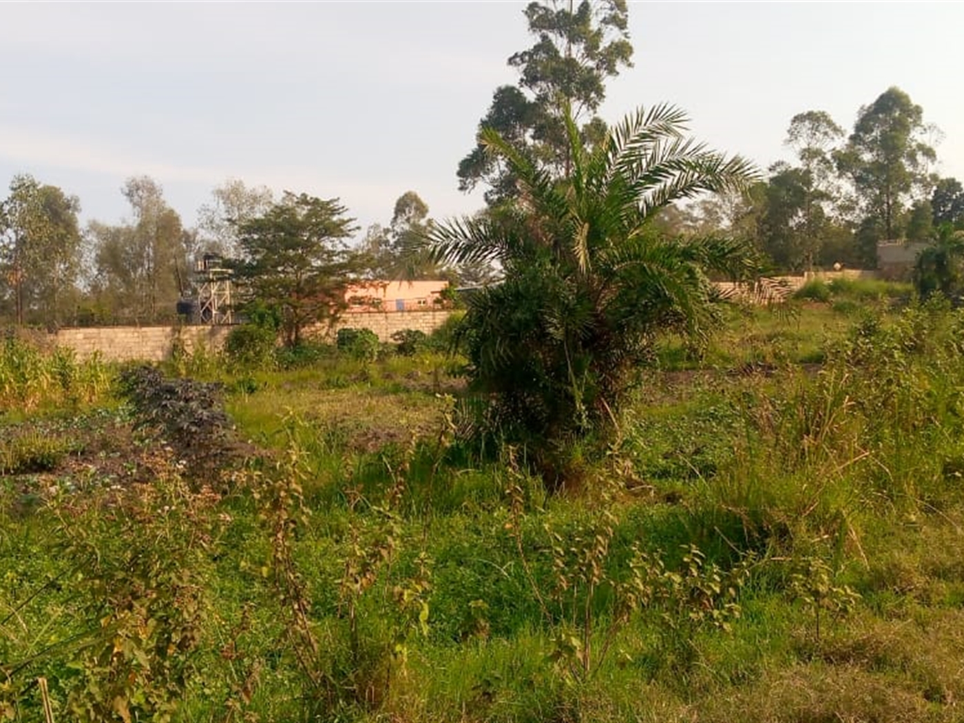 Residential land for sale in Kira Wakiso Uganda