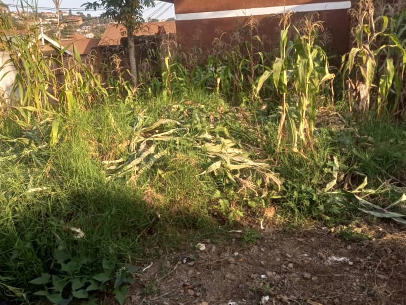 Residential land for sale in Kisaasi Kampala Uganda